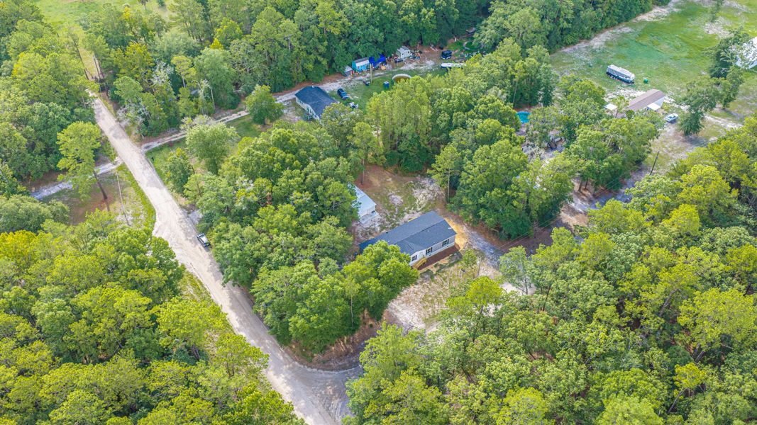 Natural landscape and outdoor views near  in Walterboro (Image 77).