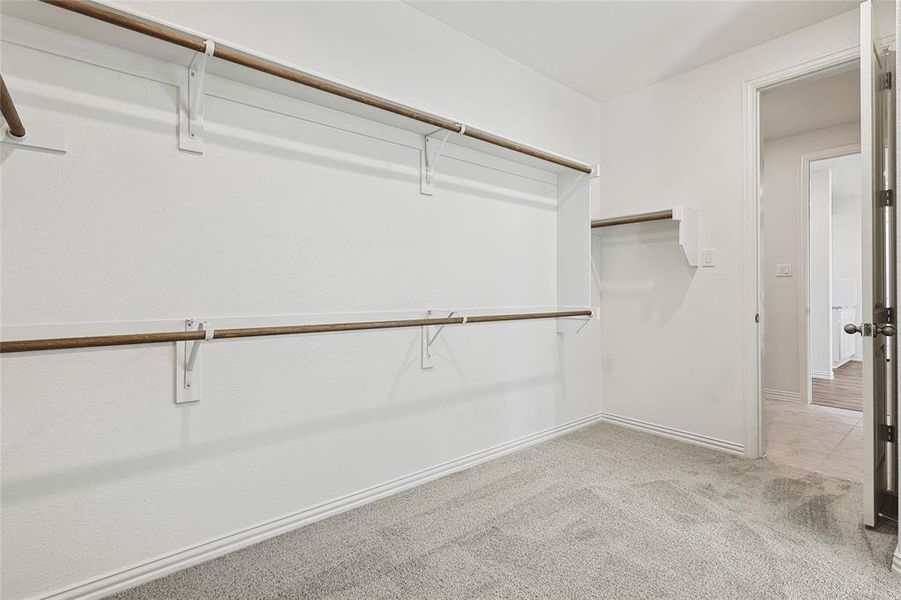 Spacious closet with light carpet