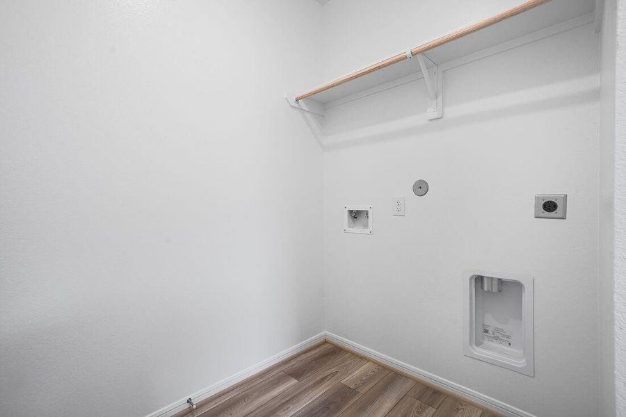 21915 Red Lantana ~ Ready Now 21915 Red Lantana ~ Ready Now