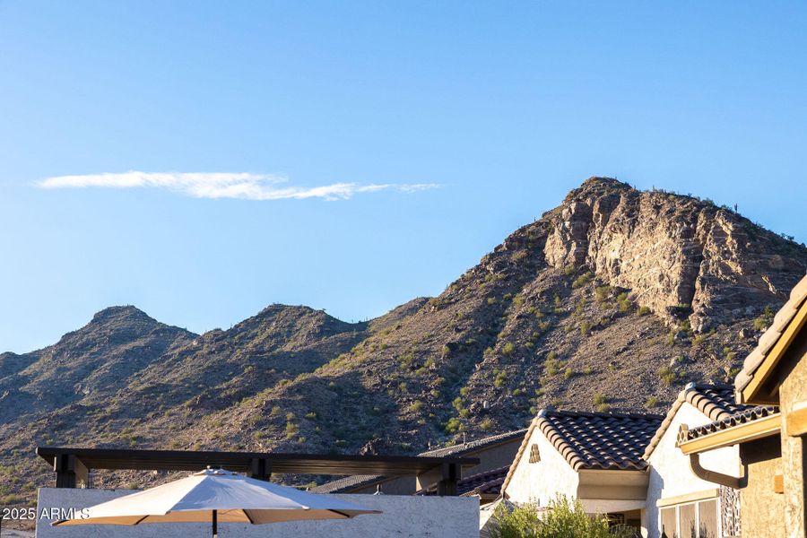 VIGNETTTE (10) VIGNETTTE (10)