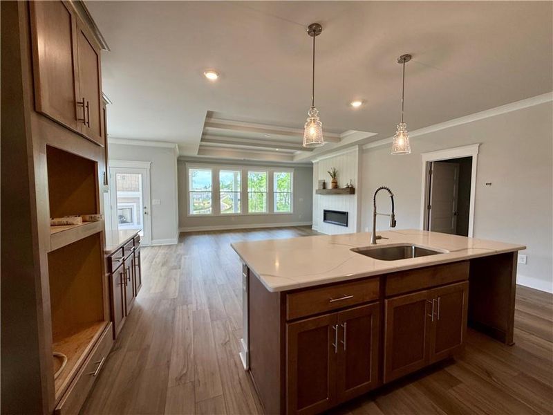 Furnished interior view inside a new home in Ponderosa Farms Reserve, Gainesville (Image 8).