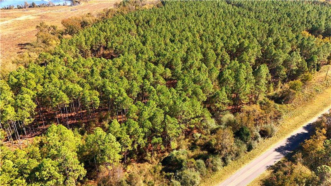 Natural landscape and outdoor views near  in Chester (Image 20).