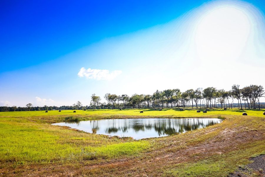 Natural landscape and outdoor views near in Hallsville (Image 12). Natural landscape and outdoor views near in Hallsville (Image 12).