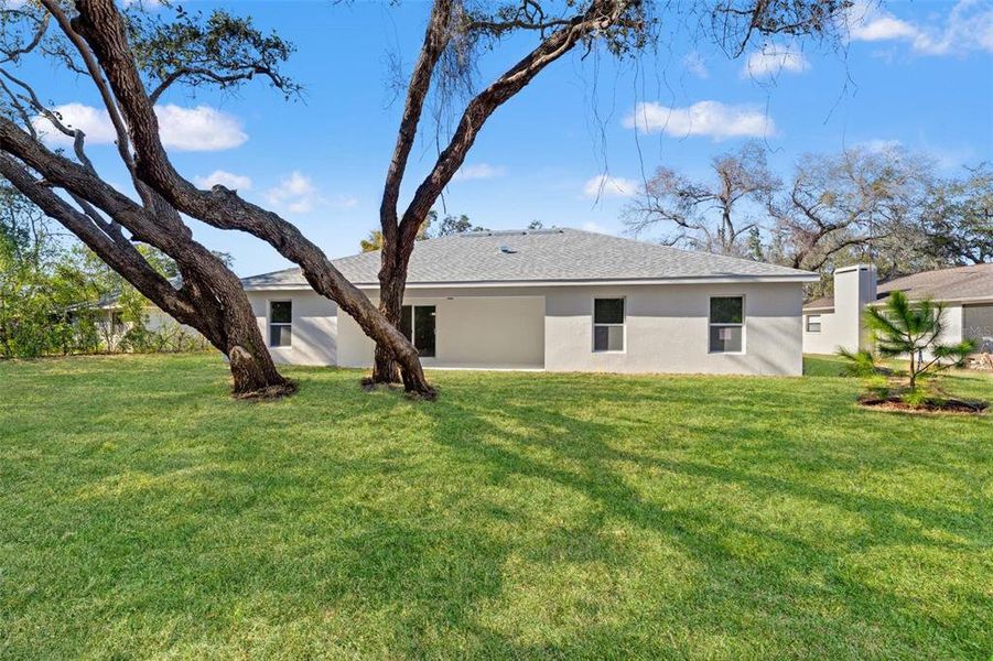 Exterior details and patio area of a home in , Spring Hill (Image 3).