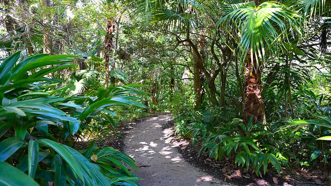 Natural landscape and outdoor views near Veranda Oaks in Port St. Lucie (Image 77).