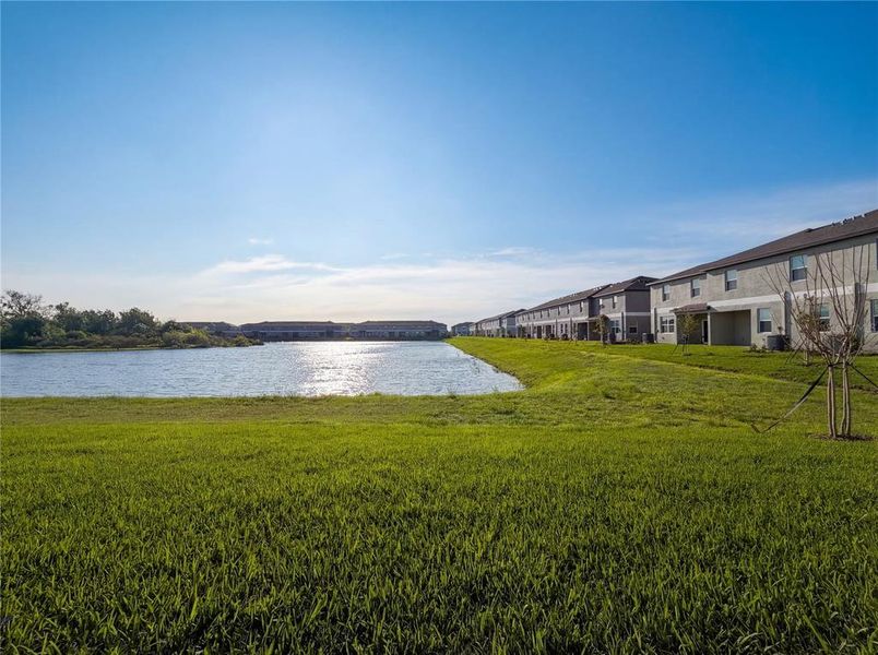Natural landscape and outdoor views near  in Parrish (Image 29).