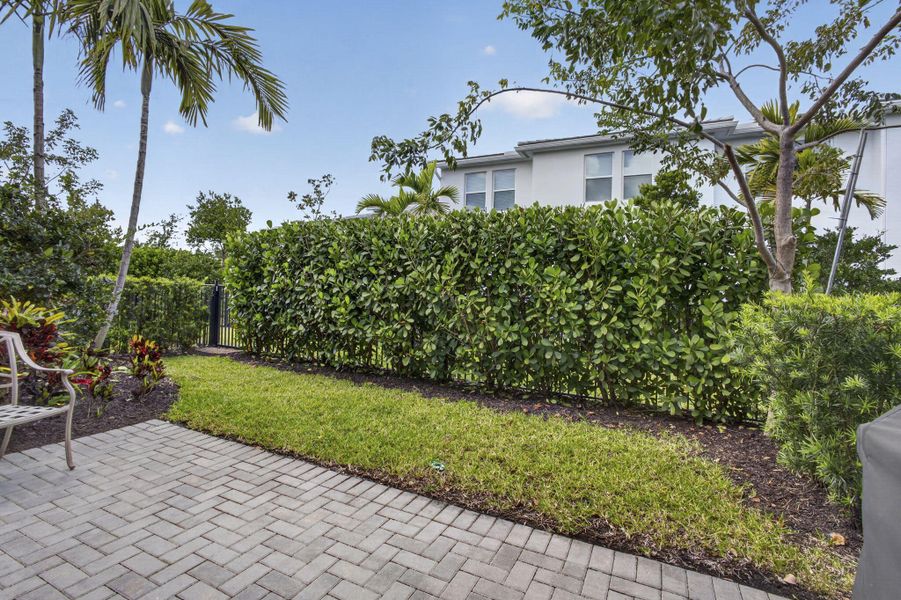 Privacy Hedge Privacy Hedge