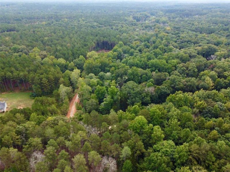 Natural landscape and outdoor views near  in Madison (Image 15).