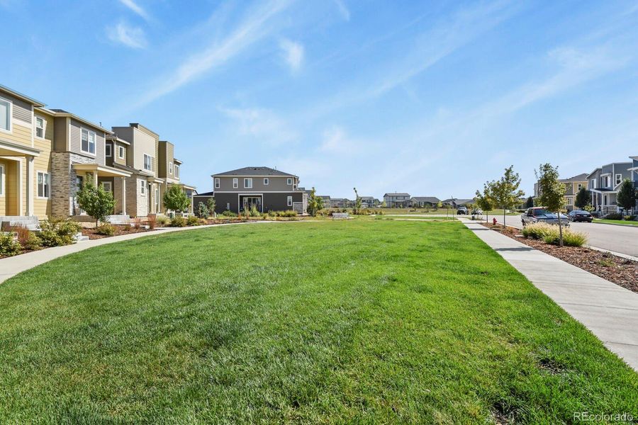 walking paths and open space