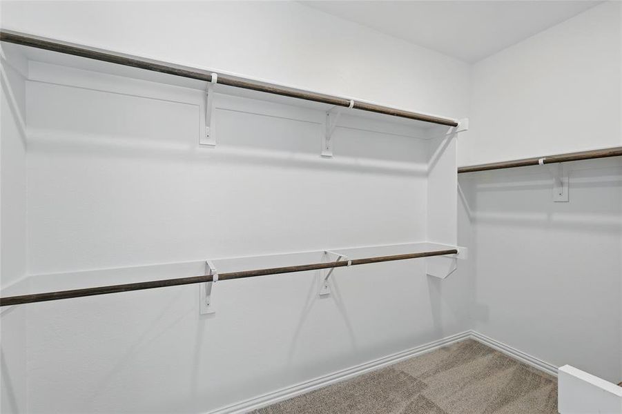 Spacious closet with carpet flooring Spacious closet with carpet flooring