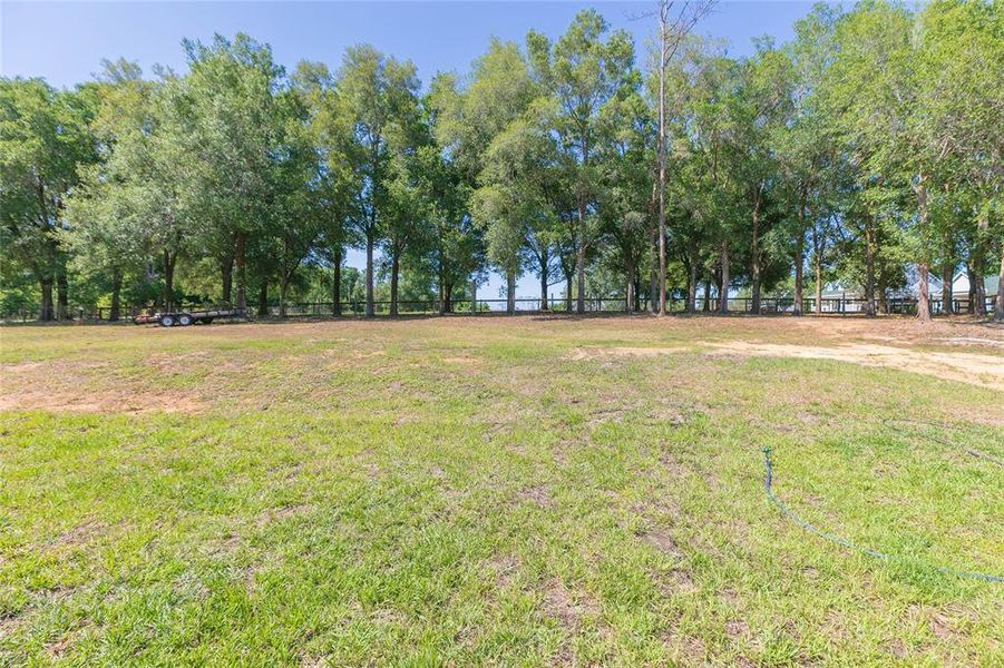 Natural landscape and outdoor views near  in Dade City (Image 50).
