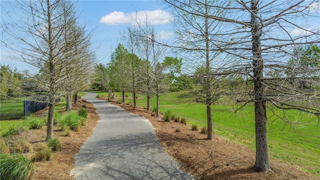 Natural landscape and outdoor views near  in Ocala (Image 58).