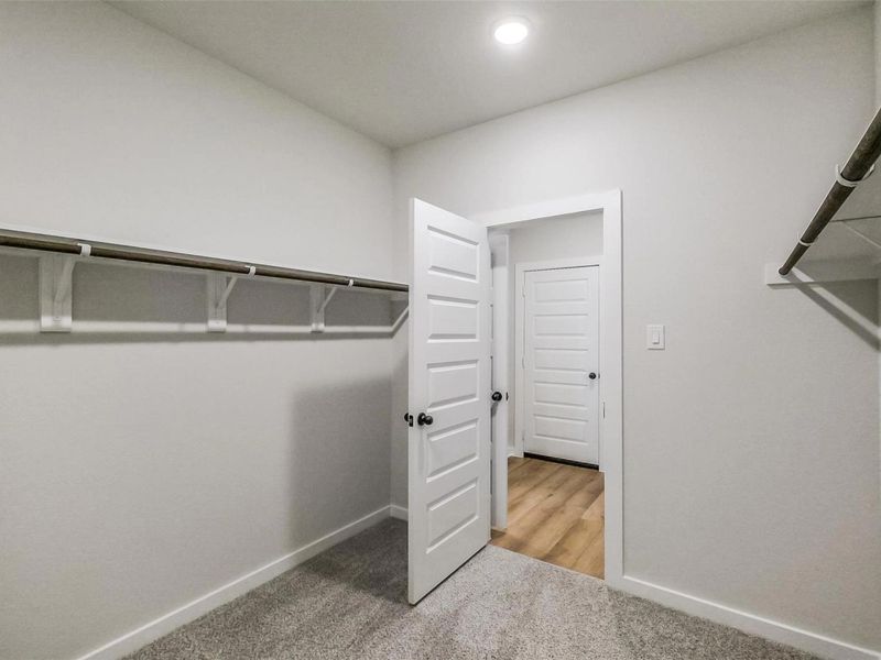 Spacious, unfurnished interior of a new home in Emberly, Beasley (Image 33).