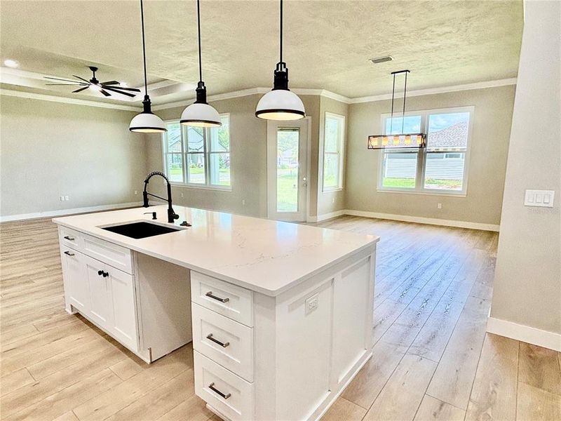 Furnished interior view inside a new home in , High Springs (Image 7).