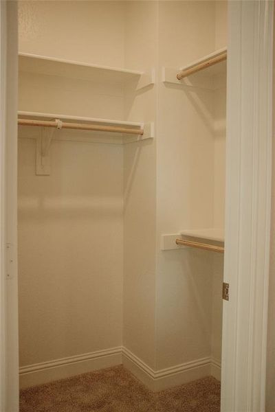 Spacious closet with carpet