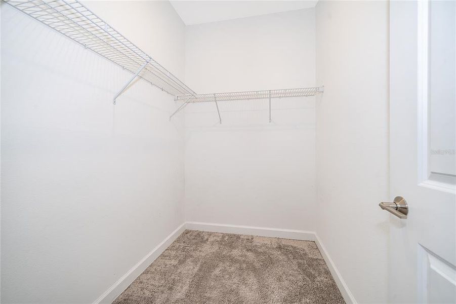 Spacious, unfurnished interior of a new home in , Davenport (Image 22).