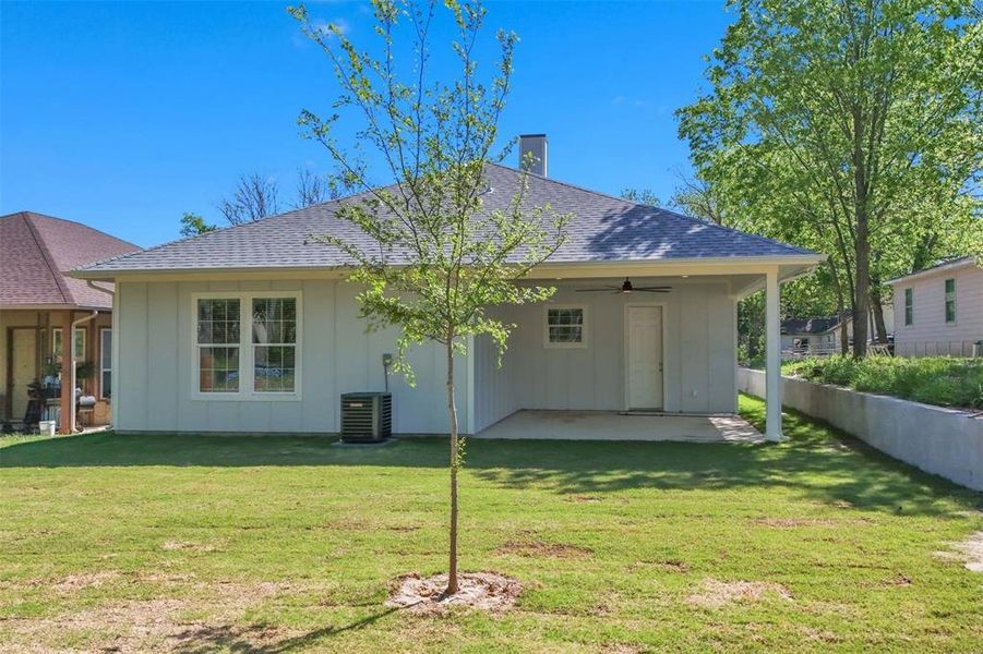 Planted oaks in front and back