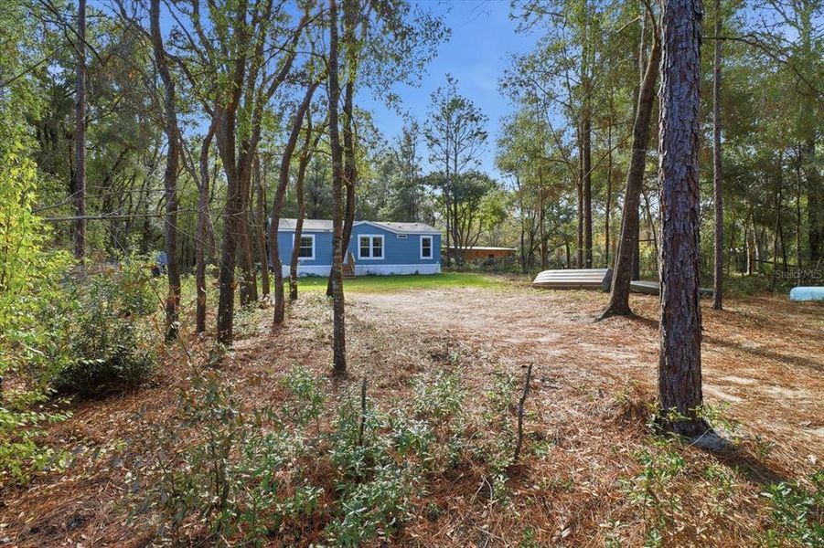 Natural landscape and outdoor views near  in Dunnellon (Image 39).