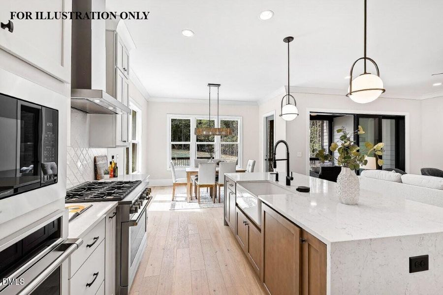 FOR ILLUSTRATION ONLY (47)