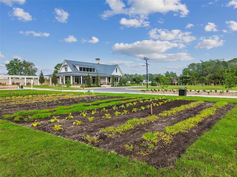 Community amenities in , Land O' Lakes (Image 53).