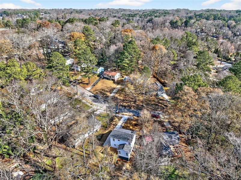 Natural landscape and outdoor views near  in Atlanta (Image 32).