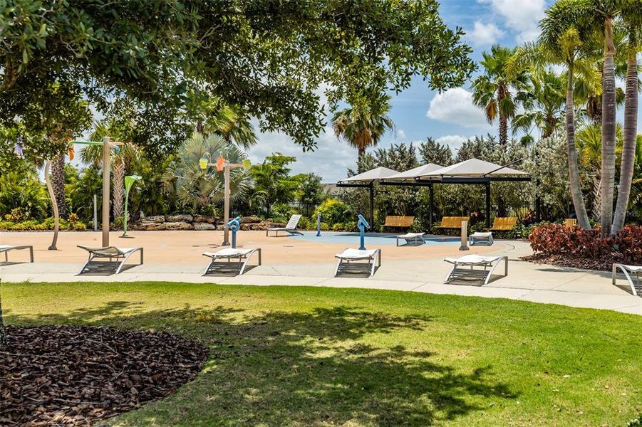 Community amenities in Waterset Garden Series, Apollo Beach (Image 53).