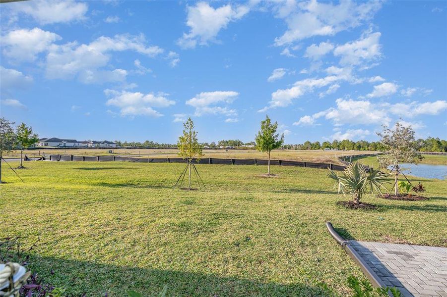 Natural landscape and outdoor views near The Timbers at Everlands: The Villas in Palm Bay (Image 30). Natural landscape and outdoor views near The Timbers at Everlands: The Villas in Palm Bay (Image 30).
