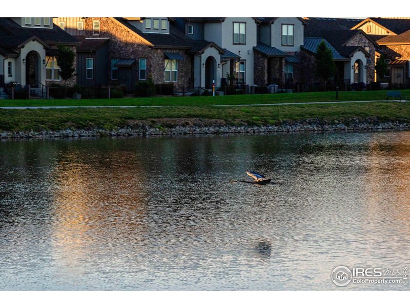 Natural landscape and outdoor views near Vernazza in Windsor (Image 32).