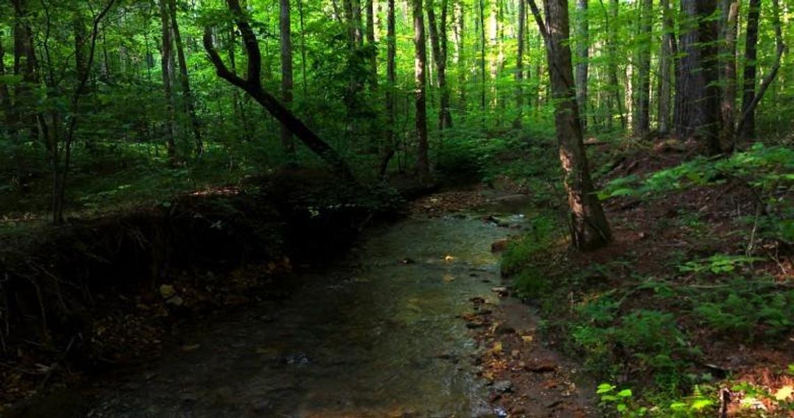 Natural landscape and outdoor views near in Ellijay (Image 8). Natural landscape and outdoor views near in Ellijay (Image 8).