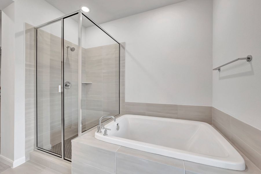 Owner's Bath