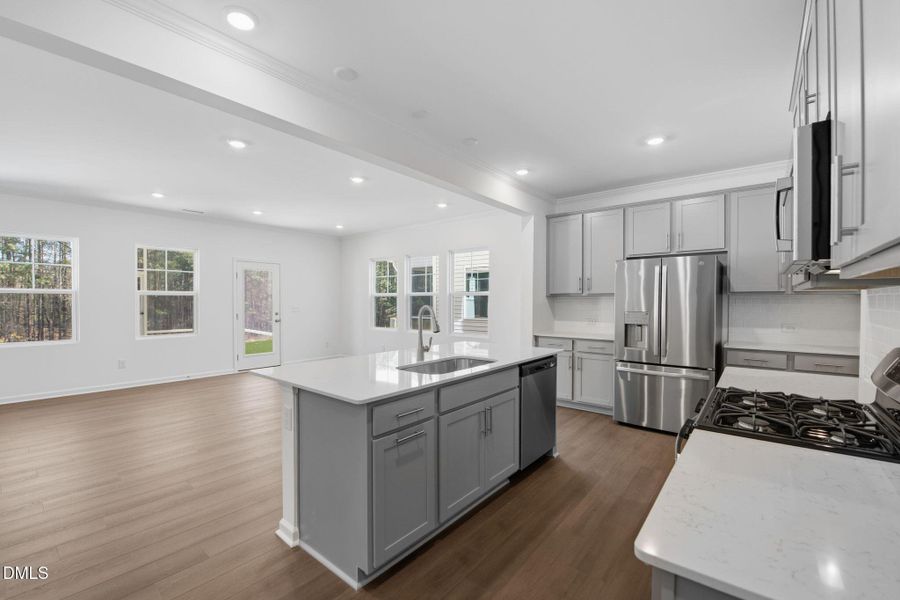 SUN_StellaView_Pic_Coleman_QMI_137_Kitch