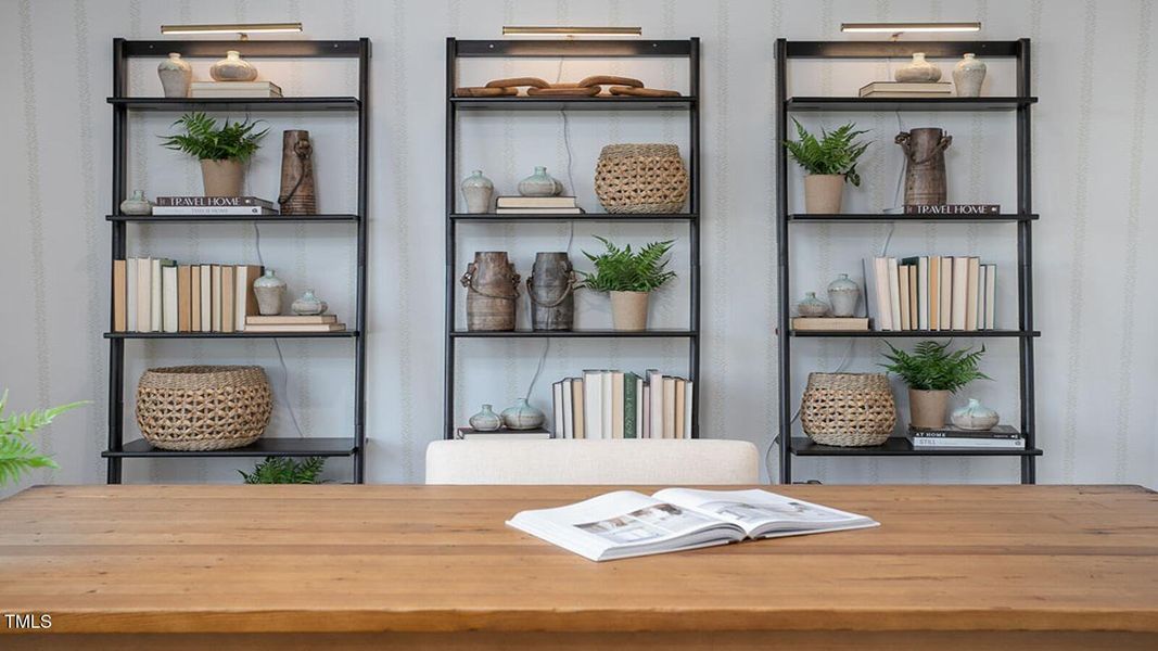 Hayden Model-DR Horton-6