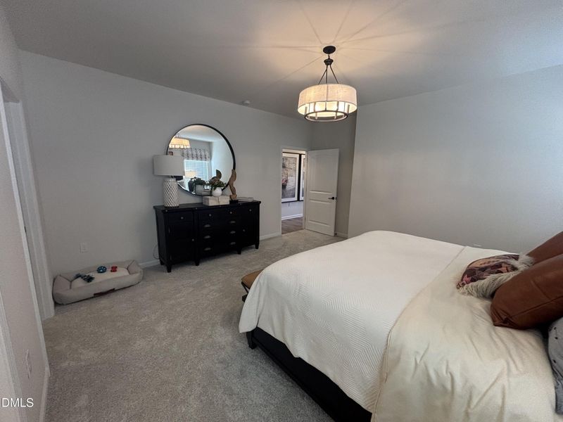 Owner's Suite Owner's Suite