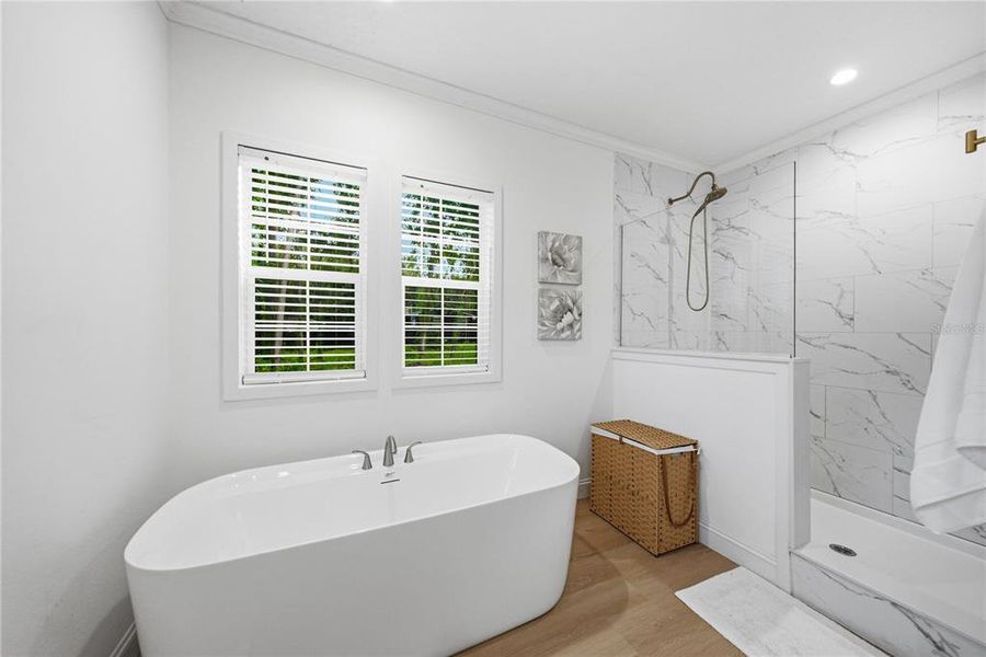Furnished interior view inside a new home in , Webster (Image 24).