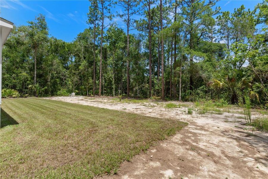 Natural landscape and outdoor views near in Weeki Wachee (Image 40). Natural landscape and outdoor views near in Weeki Wachee (Image 40).