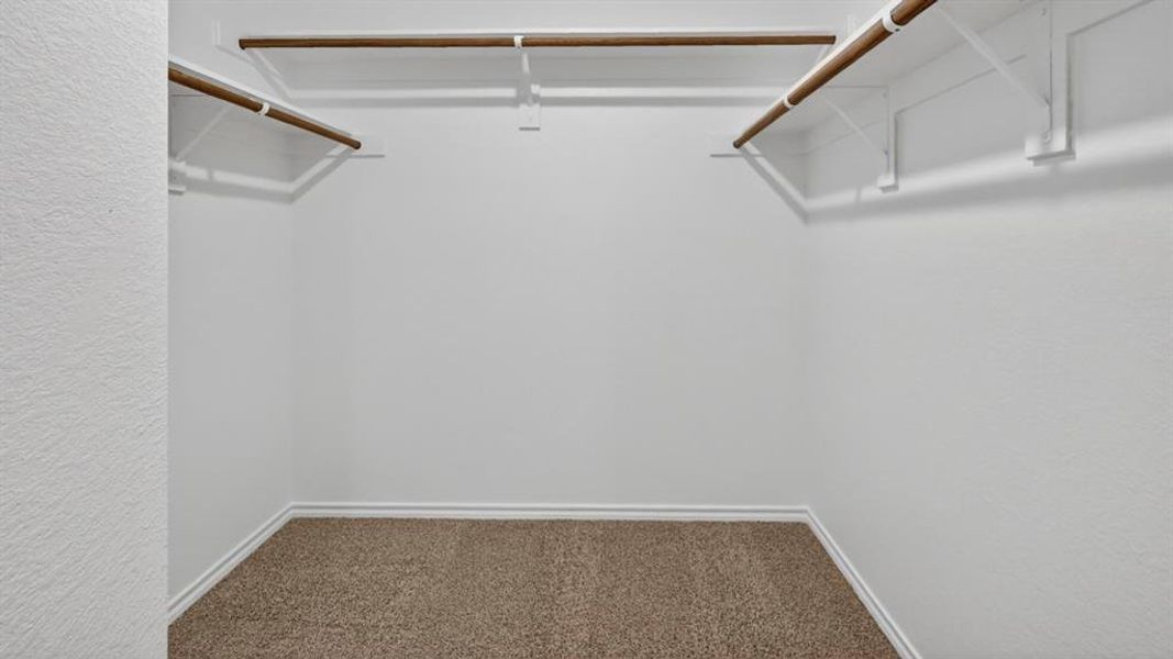 Walk-in closet with carpet flooring, white walls, and two levels of wood-finish hanging rods with white shelving supports