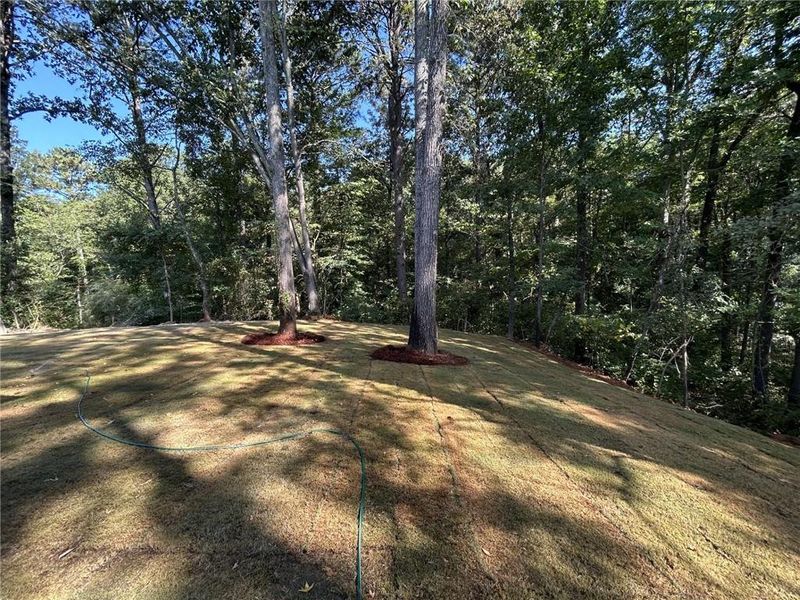 Natural landscape and outdoor views near  in Cartersville (Image 28).