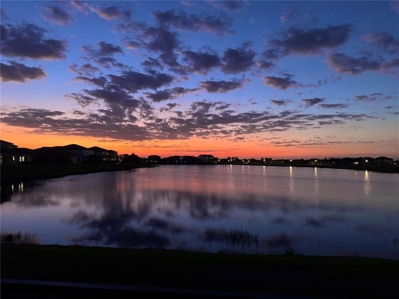 Natural landscape and outdoor views near Waterset in Apollo Beach (Image 52). Natural landscape and outdoor views near Waterset in Apollo Beach (Image 52).