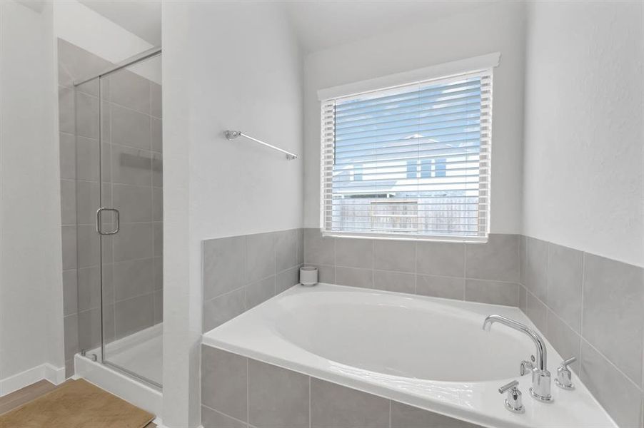 Bath Tub & Separate Shower in Master Bathroom