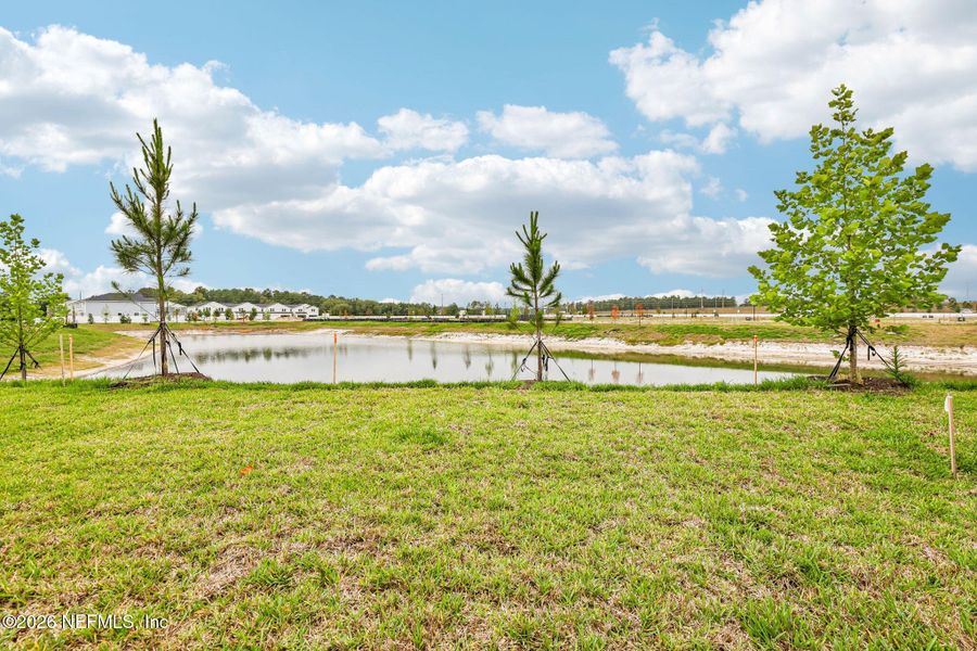 Natural landscape and outdoor views near in Middleburg (Image 18). Natural landscape and outdoor views near in Middleburg (Image 18).