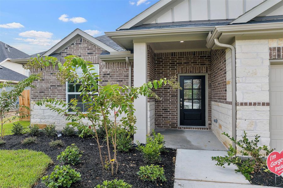 Exterior details of a home in Champions Forest 90', Mont Belvieu (Image 14).