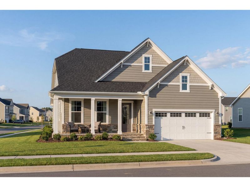 The Birch II D The Birch II D