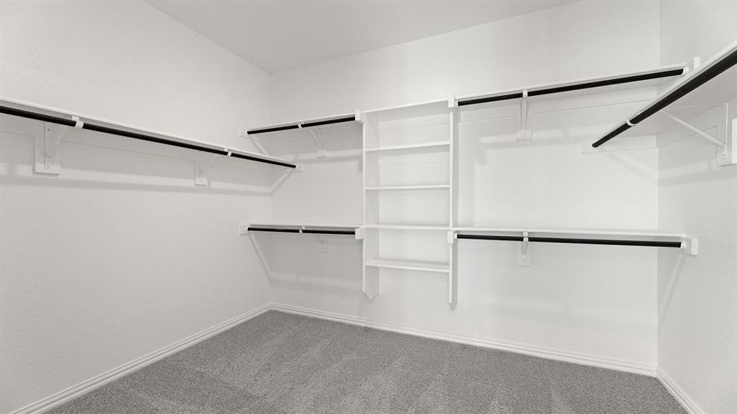 1213 Willet - Closet