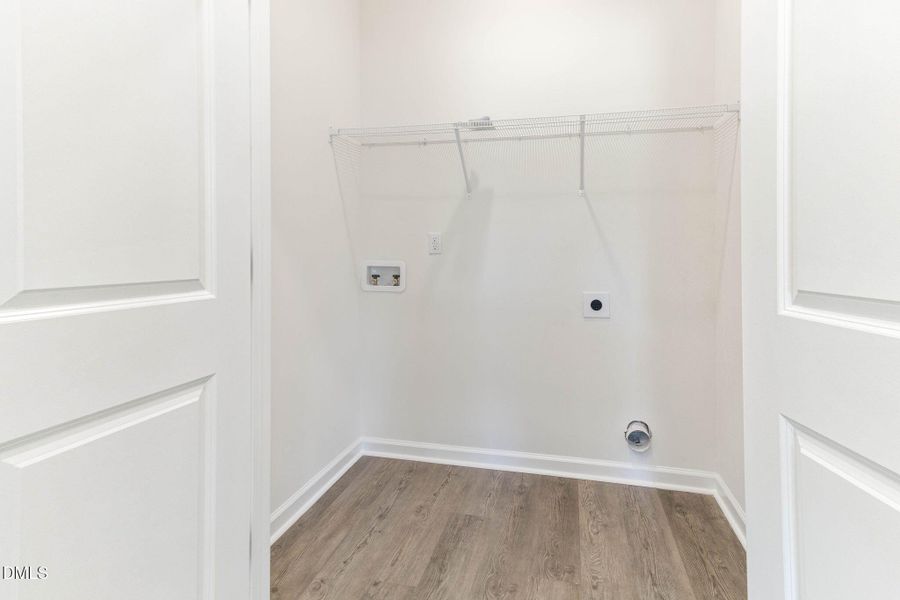 42-web-or-mls-IMG_3265