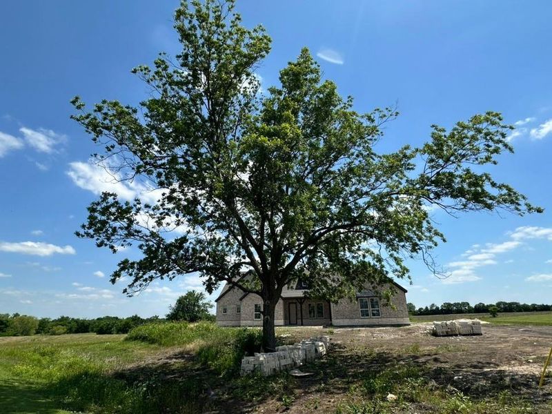Natural landscape and outdoor views near Fannin Ranch in Leonard (Image 21).