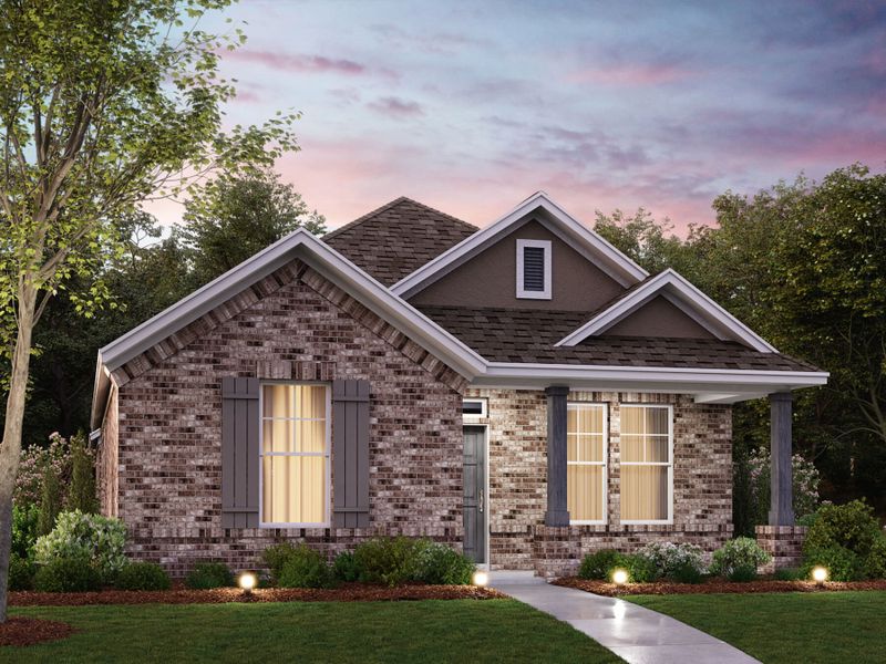 Camellia Elevation C