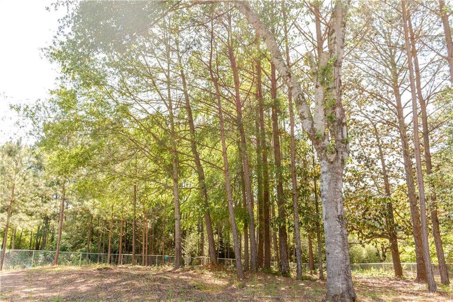 Natural landscape and outdoor views near  in Mansfield (Image 25).