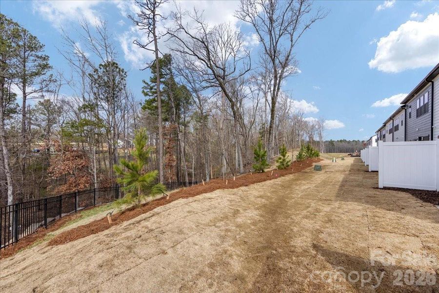 Knight Plan Model Photo Knight Plan Model Photo