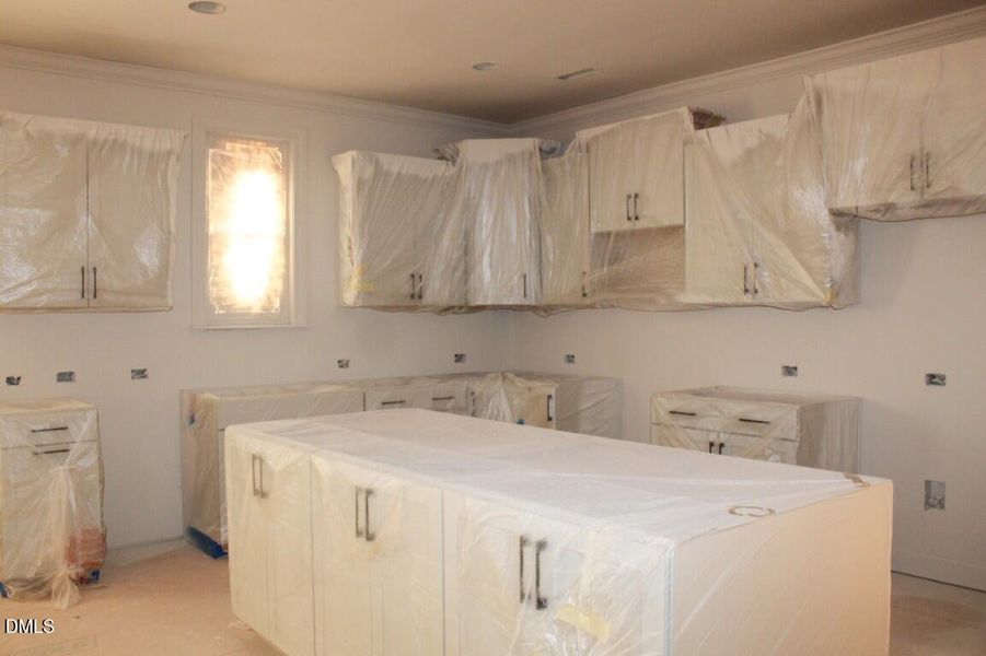 IMG_7555 (Medium) (Medium)