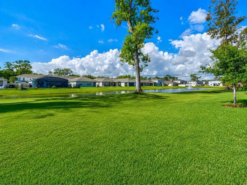 Natural landscape and outdoor views near Riverfront in Edgewater (Image 24). Natural landscape and outdoor views near Riverfront in Edgewater (Image 24).